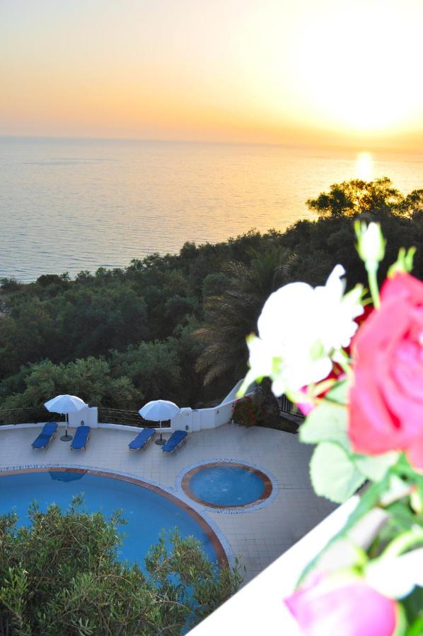 Holiday Apartments Maria With Pool And Panorama View - Agios Gordios Beach Ngoại thất bức ảnh